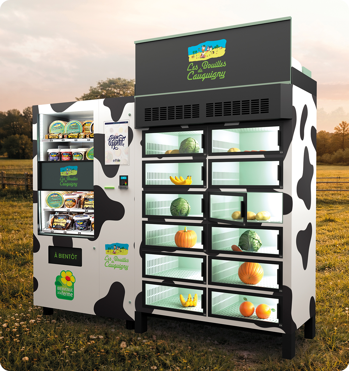 distributeur vache